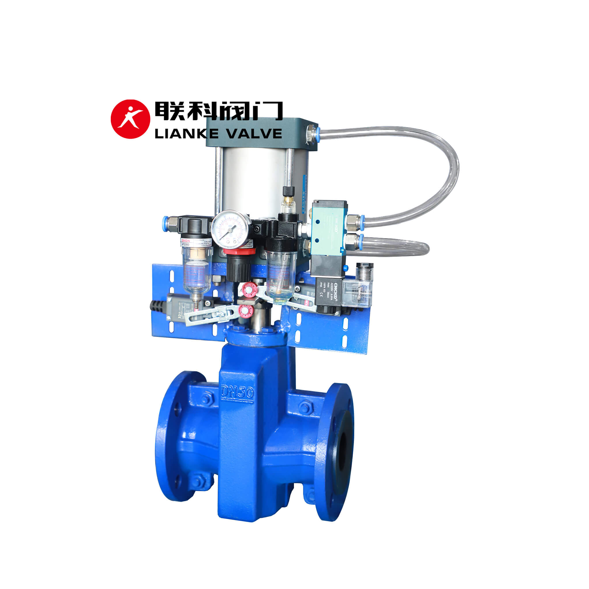 Pneumatic Control Pinch Valve